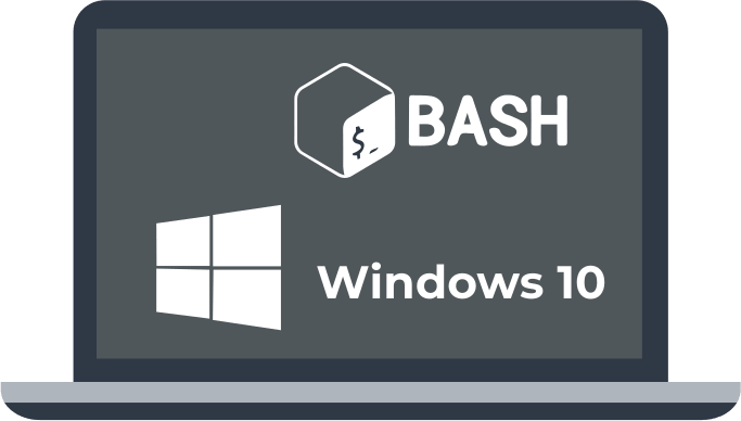 Bash Shell for Windows